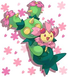 ambiguous_gender cactus cherrim duo elemental_creature flora_fauna flower flower_(anatomy) flower_creature generation_4_pokemon generation_5_pokemon harit humanoid lagomorph looking_away mammal maractus nintendo open_mouth plant pokemon pokemon_(species) smile sunshine_form_cherrim waddling_head