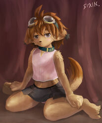 5_toes anthro barefoot biped blush bottomwear brown_nose bulge canid canine class_of_heroes clothed clothing collar crossdressing dwarf_(coh) eixin feet femboy grey_eyes hair hi_res looking_at_viewer male mammal orange_hair panties pinup pose shirt short_hair sitting skirt solo tail toes topwear underwear