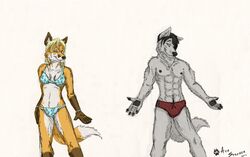 2011 ace_stryker anthro athletic bikini blonde_hair blue_eyes canid canine canis clothed clothing dipstick_tail duo female fox hair hi_res looking_at_viewer male mammal markings skimpy speedo swimwear tail tail_markings tight_clothing wolf