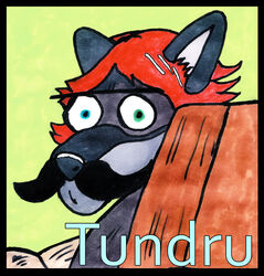 anthro black_border border canid canine canis craftyandy humor male mammal meme parody solo stare tundru unknown_artist wolf