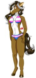  alpha_channel amber_eyes anthro bikini brown_body brown_eyes brown_fur brown_hair brown_mane brown_tail bulge clothing daisy_(zer0rebel4) digital_media_(artwork) equid equine fur gynomorph hair hi_res hooves horse intersex leaning lgbt_pride long_hair long_mane mammal mane markings multicolored_body multicolored_hair pride_colors smile solo swimwear tail trans_(lore) trans_woman_(lore) transgender_pride_colors two_tone_body two_tone_hair white_body white_fur white_hair white_markings white_tail zer0rebel4 