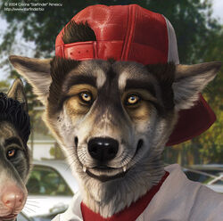 ambiguous_gender anthro backwards_baseball_cap backwards_hat baseball_cap canid canine canis clothing cropped detailed detailed_fur duo fur hat headgear headwear kannos looking_at_viewer male mammal teeth wolf yellow_eyes