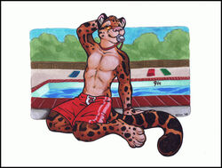 anthro clothed clothing clouded_leopard felid keovi lifeguard male mammal navel pantherine pink_nose solo swimming_pool swimming_trunks swimwear tail topless towel water whistle_(object) whistle_around_neck whistle_in_mouth