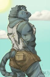 amwulf anthro biceps black_body black_fur blue_body blue_eyes blue_fur clothing eyewear felid fur hi_res looking_at_viewer looking_back looking_back_at_viewer male mammal muscular muscular_anthro muscular_male pecs smile solo stripes sunglasses tail