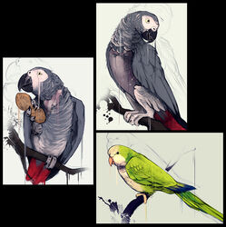 african_grey afrotropical_parrot ambiguous_gender avian beak bird black_eyes cere_(anatomy) claws digital_media_(artwork) digital_painting_(artwork) dripping feathered_wings feathers feral food fruit green_body green_feathers grey_body grey_feathers group legume monk_parakeet neotropical_parrot no_swift nut_(fruit) parakeet parrot peanut_(food) plant red_body red_feathers sketch tree true_parrot twig white_body white_feathers wings yellow_eyes zoom_layer