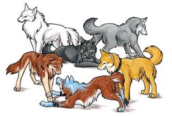 black_body black_fur brown_body brown_fur canid canine canis collar feral fur grey_body grey_fur group hige_(wolf&#039;s_rain) kiba_(wolf&#039;s_rain) male mammal nutmeg toboe_(wolf&#039;s_rain) tongue tsume_(wolf&#039;s_rain) white_body white_fur wild_spirit_wolf wolf wolf&#039;s_rain yellow_body yellow_fur