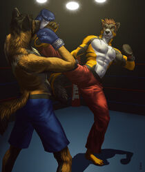 abs anthro barefoot biceps biped black_body black_fur black_nose black_pawpads bodily_fluids bottomwear boxing_gloves brown_body brown_fur brown_hair canid canine canis chest_tuft claws closed_eyes clothed clothing detailed domestic_dog ever_last fangs feet fight fighting_ring fur gloves grey_body grey_fur hair handwear hi_res kannos kick kickboxing male mammal multicolored_body multicolored_fur muscular muscular_anthro muscular_male navel nipples on_one_leg orange_eyes pants pawpads paws pecs pose raised_leg shorts solo sport spotlight standing sweat teeth toe_claws topless tuft two_tone_body two_tone_fur white_body white_fur yellow_body yellow_eyes yellow_fur