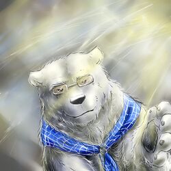 1:1 bear eyewear glasses hi_res laohu male mammal polar_bear scarf shirokuma shirokuma_cafe solo ursine