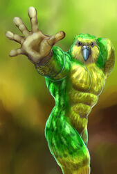 abs anthro avian beak biceps biped bird black_eyes feathers green_body gweek kakapo male muscular muscular_anthro muscular_male nude parrot pecs pose solo standing strigopoid yellow_body