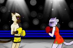 animal_boxing anthro bottomwear boxing boxing_gloves chun_(animal_boxing) clothing darkangelyuna domestic_cat duo felid feline felis female fighting_ring handwear lee_(animal_boxing) lights male mammal pantherine pants purple_eyes sport yellow_eyes