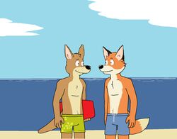 2013 anthro beach boogie_board canid canine clothing cloud dan_(paintfox) day detailed_background duo fox fur josh_(paintfox) kangaroo macropod male mammal marsupial outside paintfox sand sea seaside sky summer surf swimwear toony water