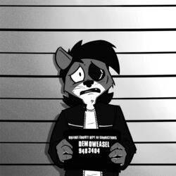 1:1 4_fingers anthro big_eyes black_eye_(injury) bruised clothing fingers frankieancelotti frown fur gradient_background greyscale hair half-length_portrait holding_object holding_sign jacket least_weasel male mammal monochrome mustelid musteline open_mouth portrait shirt sign simple_background solo toony topwear true_musteline weasel whiskers