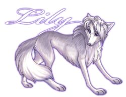 alpha_and_omega alpha_channel blue_eyes canid canine canis cockiestspaniel female feral fur hair lilly_(alpha_and_omega) mammal smile solo standing white_body white_fur white_hair wolf