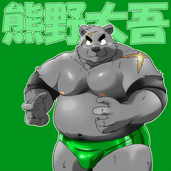 1:1 2013 5_fingers anthro bear biceps character_name clothed clothing daigo_kumano fingers fur green_clothing green_speedo green_swimwear hi_res japanese_text looking_at_viewer male mammal musclegut muscular muscular_anthro muscular_male overweight overweight_anthro overweight_male scar shiba-kenta solo speedo swimwear text topless wrestler wrestling_briefs