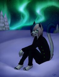 anthro aurora_(phenomenon) biped black_bottomwear black_clothing black_jeans black_pants blue_body blue_fur blue_markings bottomwear chiroina chyo clothed clothing denim denim_bottomwear denim_clothing detailed_background dipstick_tail domestic_cat eyewear felid feline felis full-length_portrait fully_clothed fur glasses hi_res humanoid_hands jeans male mammal markings multicolored_tail nature night outside pants pea_coat portrait sitting sky skye_frost snow solo star tail tail_markings white_body white_fur