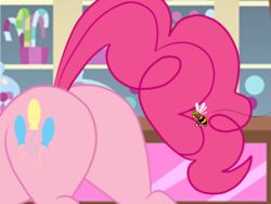 2014 4:3 arthropod ass bee blue_eyes bsting earth_pony equid equine female feral friendship_is_magic fur hair hasbro horse hymenopteran imminent_pain insects long_hair mammal my_little_pony pink_body pink_fur pink_hair pinkie_pie_(mlp) pony solo