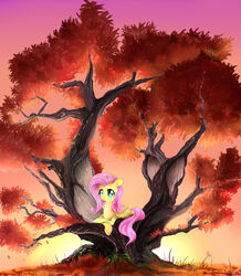 2013 against_natural_surface against_surface against_tree blue_eyes cutie_mark daughter-of-fantasy dead_tree equid equine feathered_wings feathers female fluttershy_(mlp) friendship_is_magic grass hair hasbro hi_res in_tree lying mammal my_little_pony mythological_creature mythological_equine mythology outside pegasus pink_hair plant sky solo tree wings yellow_body yellow_feathers