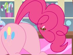 2014 4:3 arthropod ass bee blue_eyes bsting earth_pony equid equine female feral friendship_is_magic fur hair hasbro horse hymenopteran imminent_pain insects long_hair mammal my_little_pony pink_body pink_fur pink_hair pinkie_pie_(mlp) pony solo