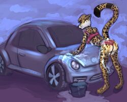 2014 5:4 anthro ass athene_(hulahula11) barefoot bikini biped blue_eyes bucket car car_wash cheetah clothing combatraccoon container digitigrade feet felid feline female female_anthro leaning leaning_forward looking_back mammal on_hood raised_tail solo swimwear tail vehicle volkswagen volkswagen_new_beetle