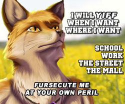 6:5 anthro bodily_fluids business canid canine crying drama english_text fox freedom_rings fursecution fursecution_fox internet jewelry low_res male mammal meme multicolored_jewelry multicolored_necklace necklace rainbow_jewelry rainbow_necklace rainbow_symbol reaction_image serious solo taurin_fox tears text third-party_edit