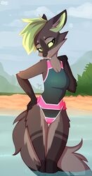  anthro bikini black_body black_ears black_fur black_tail breasts cleavage clothed clothing female fur green_hair grey_body grey_fur hair hi_res mammal omiart partially_submerged pink_clothing swimwear tail water 