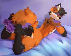  2023 anthro artist_name ass black_body black_fur black_nose blush canid canine digital_media_(artwork) fox fur looking_back lying male mammal nude on_front orange_body orange_fur pawpads purple_body purple_fur purple_pawpads smile solo spraykitty 