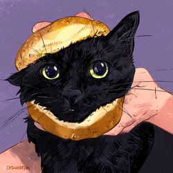  1:1 absurd_res ambiguous_gender big_eyes bread catwheezie domestic_cat duo felid feline felis feral feral_focus food fur hi_res human mammal meme purple_background redraw signature simple_background solo_focus tuft whiskers 