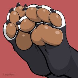  1:1 4_toes avoid_posting canid canine claws domestic_cat feet felid feline felis foot_focus fox hybrid jungabeast mammal pawpads paws red_background simple_background skaalreaper soles tabby_cat toe_claws toes zax_(zwalexan) 