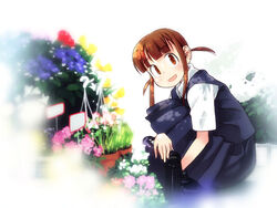  bag bouquet brown_eyes brown_hair female flower flower_pot home_room looking_at_viewer nagatsuki_misoka plant potted_plant school_bag school_uniform solo squatting 