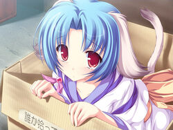  animal_ears box cardboard_box dog_ears dog_tail female for_adoption game_cg haruhi_sarasa in_box in_container inakoi mikan_box photoshop_(medium) solo tail tears tenmaso 