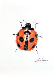  abe_yuichiro animal_focus bug clock colored_pencil_(medium) highres ladybug maven no_humans original signature simple_background traditional_media white_background 