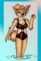  2019 angel_(lady_and_the_tramp) anthro anthrofied bikini canid canine canis clothing disney domestic_dog female folwilliar fur lady_and_the_tramp mammal pomeranian spitz swimwear tan_body tan_fur tuft yellow_body yellow_fur 