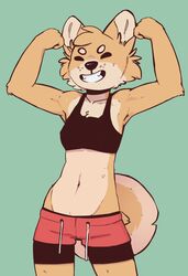  2020 anthro bottomwear brown_body brown_fur canid canine canis cheek_tuft closed_eyes clothing conditional_dnp crop_top digital_media_(artwork) domestic_dog elliotte-draws facial_tuft female fur green_background grin head_tuft hi_res mammal midriff navel portrait pose shiba_inu shirt shorts simple_background smile solo sophie_(elliotte-draws) spitz three-quarter_portrait topwear tuft 