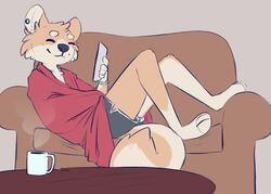  3_toes anthro barefoot black_nose bottomwear brown_body brown_fur canid canine canis chair cheek_tuft clothed clothing conditional_dnp container cup digital_media_(artwork) domestic_dog elliotte-draws facial_tuft feet fur furniture head_tuft hi_res holding_object mammal plantigrade reclining shiba_inu shorts smile solo sophie_(elliotte-draws) spitz table toes tuft 