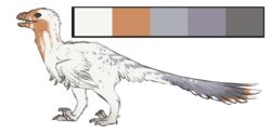  aedea balaur_bondoc dinosaur dromaeosaurid extinct feathered_dinosaur feathered_scalie feathers female_(lore) feral grey_body grey_feathers hi_res model_sheet orange_body orange_feathers prehistoric_species reptile rift_seekers_saga scalie solo theropod white_body white_feathers wings yvaeith 