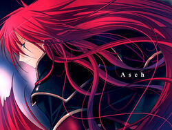  1boy asch_(tales) character_name long_hair male_focus solo surcoat tales_of_(series) tales_of_the_abyss vanilla_(nicolla) 