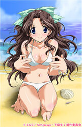  bad_anatomy barefoot beach bikini blue_eyes blush breasts brown_hair choker cleavage day feet female kakyuusei_2 kurashima_tomoyasu long_hair medium_breasts outdoors seashell shell shirai_yuuri solo squatting swimsuit white_bikini 