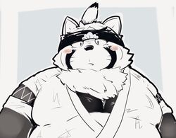  2022 anthro belly big_belly blush canid canine jinbei_(clothing) kemono kumazawow lifewonders live_a_hero male mammal overweight overweight_male raccoon_dog shoen simple_background solo tanuki torausimuma7 