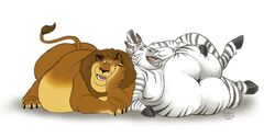  2:1 absurd_res alakay_alex ass belly big_belly big_butt chubby_cheeks claws dragontzin dreamworks duo equid equine felid feral hi_res hooves lion madagascar_(series) male mammal mane marty_the_zebra moobs navel obese obese_feral obese_male overweight overweight_feral overweight_male pantherine simple_background stripes white_background zebra 