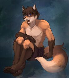  beard biceps blue_eyes brown_body brown_fur brown_hair brown_nose canid canine clothed clothing facial_hair fluffy fluffy_tail fox fur hair happy looking_at_viewer male mammal muscular open_mouth pawpads paws pecs smile solo tail teeth topless treats 