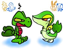  lowres mijumaru mudkip oshawott pokabu pokemon pokemon_(game) pokemon_black_and_white pokemon_bw snivy tepig torchic treecko tsutaaja 