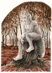  2017 anthro canid canine canis claws detailed_background fairy_tales forest fur grey_body grey_fur hi_res kirsch little_red_riding_hood_(copyright) male mammal nude plant sitting sitting_on_stump solo toe_claws tree tree_stump wolf 