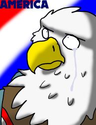  2015 absurd_res accipitrid accipitriform ambiguous_gender american_eagle anthro avian bald_eagle bird bodily_fluids clothed clothing crying digital_media_(artwork) eagle english_text feathers hi_res janith reaction_image redgreenfluffball sea_eagle simple_background solo tears text toony united_states_of_america 