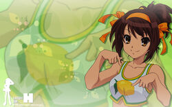  leamon point ponytail short_hair suzumiya_haruhi suzumiya_haruhi_no_yuuutsu tagme 