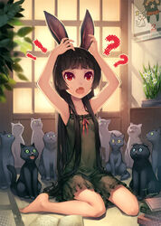  ! !? ? ^^^ animal_ears arms_up barefoot black_camisole black_cat black_hair book calendar_(object) camisole commentary_request confused daffodil feline female flower gokou_ruri hime_cut indoors lingerie long_hair lvans mole mole_under_eye nail_polish nightgown oerba_yun_fang on_floor open_mouth ore_no_imouto_ga_konna_ni_kawaii_wake_ga_nai petite plant potted_plant rabbit_ears red_eyes room signature sitting solo surprised sweatdrop too_many too_many_cats underwear wariza white_cat 