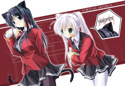  2girls animal_ears black_hair cat_ears cat_tail fortune_arterial green_eyes kuze_kiriha multiple_girls pantyhose purple_eyes school_uniform shippo_danshaku tail tougi_shiro white_hair white_pantyhose 