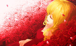  bad_id bad_pixiv_id blonde_hair blood blood_from_mouth closed_eyes dress elysion female flower flower_bed highres kaden_(kuzek) light_smile lying petals photoshop_(medium) red_dress red_flower red_rose red_theme rose rose_petals solo sound_horizon stella_(sound_horizon) 