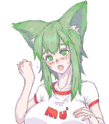  animal_ears bad_id bad_pixiv_id blush breasts copyright_request female green_eyes green_hair huge_breasts sasagawa_(haikaiki) shirt solo 