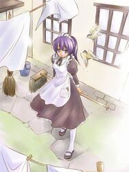  bird blue_eyes copyright_request female kazuto_izumi maid mop pantyhose purple_hair solo white_pantyhose 