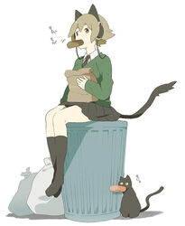  animal_ears brown_eyes brown_hair commentary_request doughnut feline female food green_shirt hayato_(meromoni) headphones necktie original school_uniform shirt short_hair sitting skirt socks solo sweater tail 